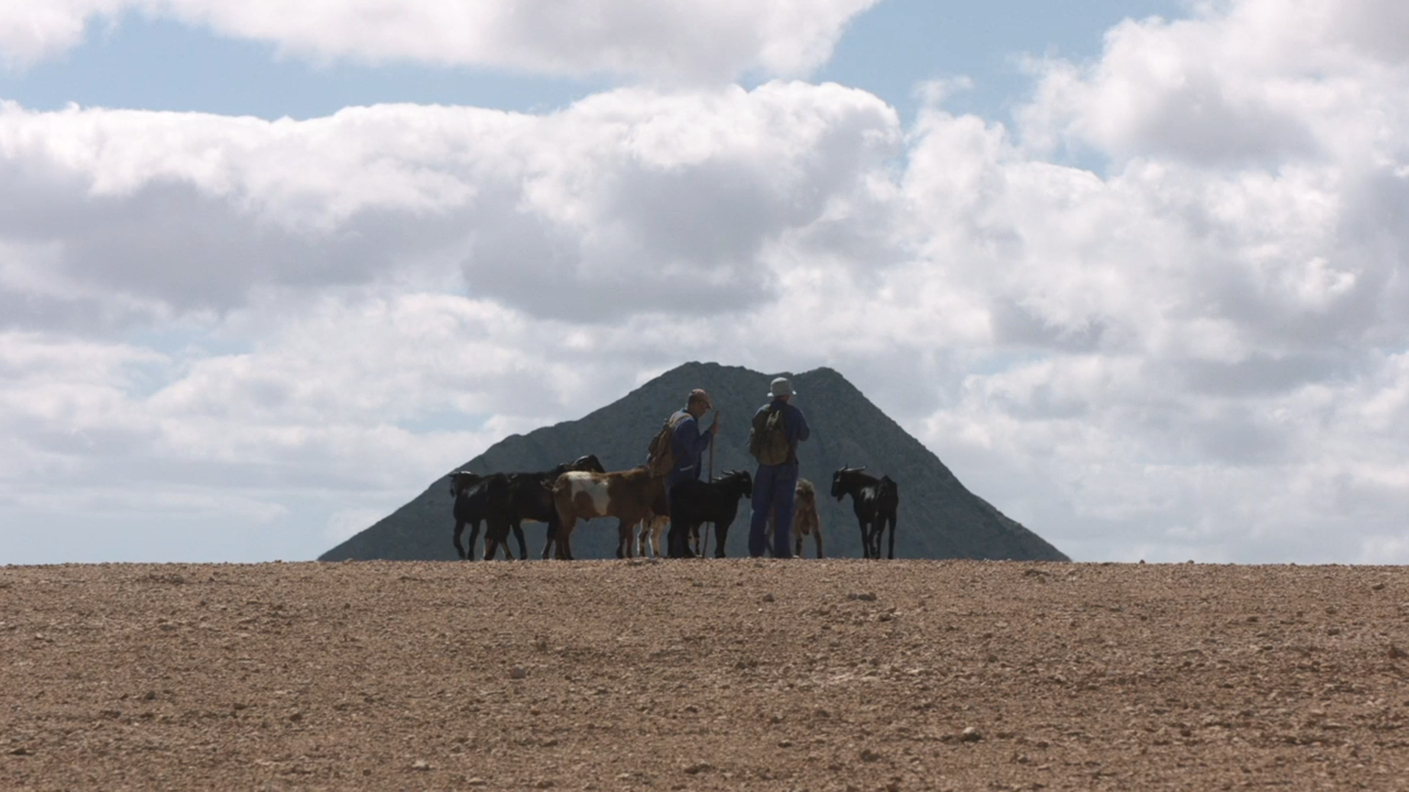 Fotograma de Rendir los Machos, película rodada en Fuerteventura (Imagen: FFC).