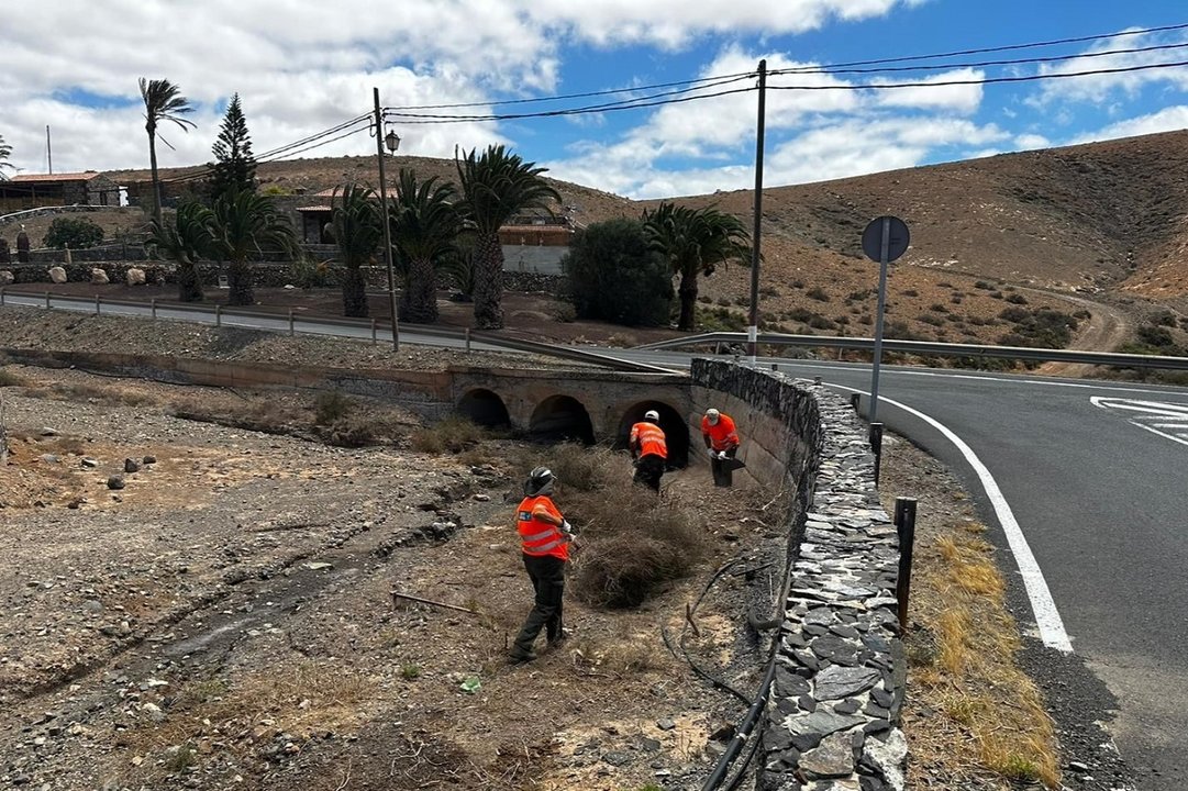 Trabajos del Cabildo y GESPLAN en el Barranco de Tarajalejo.