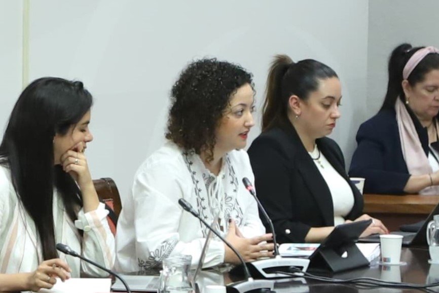 Jana González Alonso, en la comisión de Derechos Sociales del Parlamento.