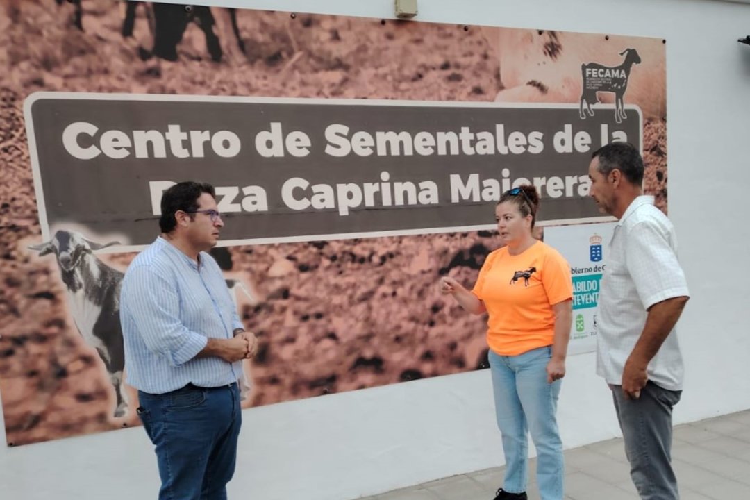 Centro de sementales de la Federación Nacional de Criadores de la Raza Caprina Majorera.