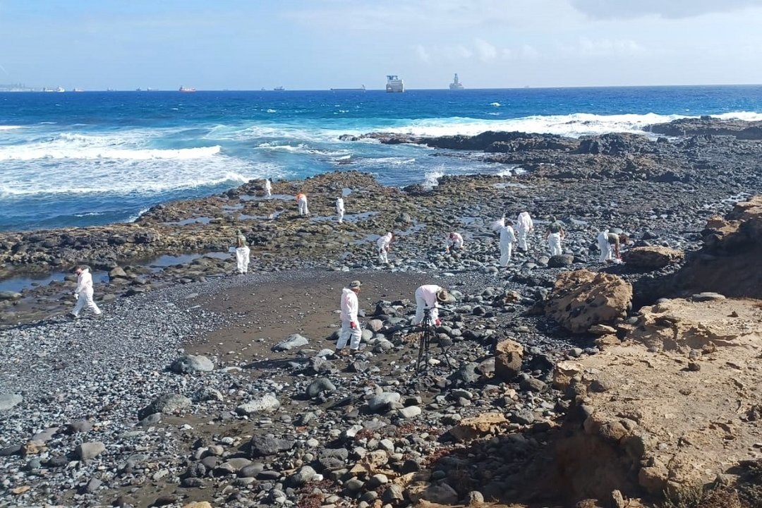 Labores de limpieza del vertido de fueloil en Gran Canaria.