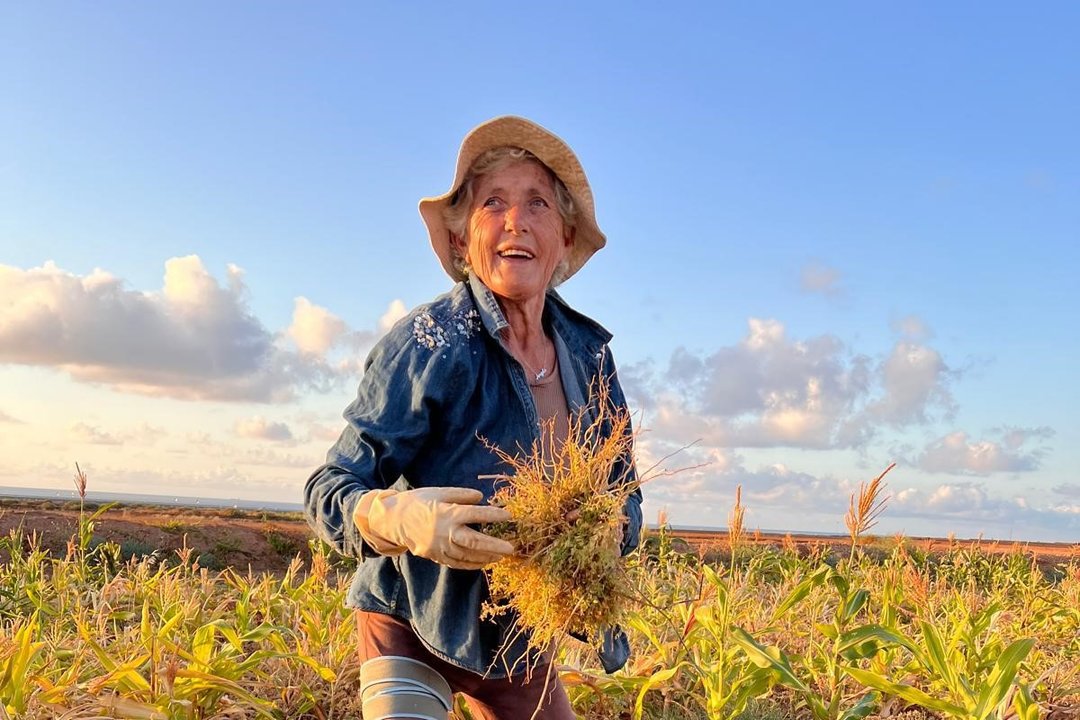 Angela Valdivia continúa cultivando a sus 72 años.