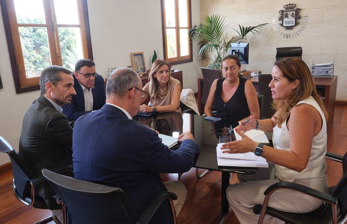 Reunión a tres bandas entre Cabildo, Red Eléctrica, y Gobierno de Canarias.