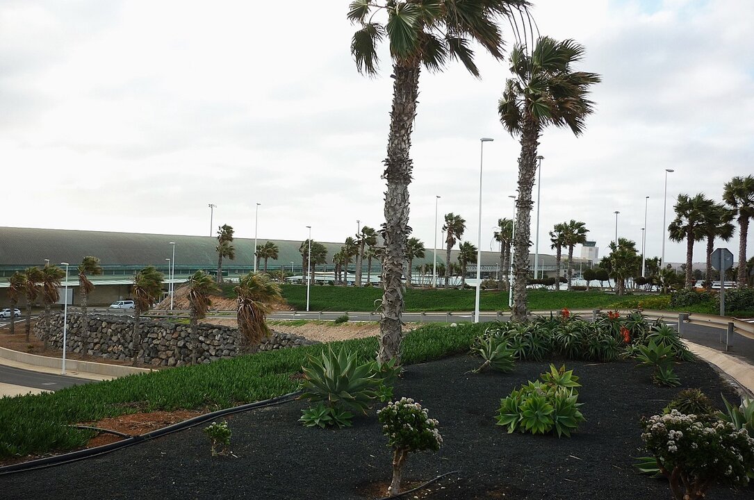 Imagen de los jardines del Aeropuerto de Fuerteventura.