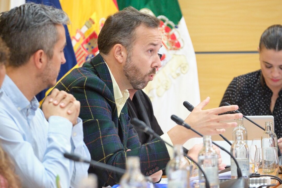 Luis González en el pleno del Cabildo de noviembre de 2024.