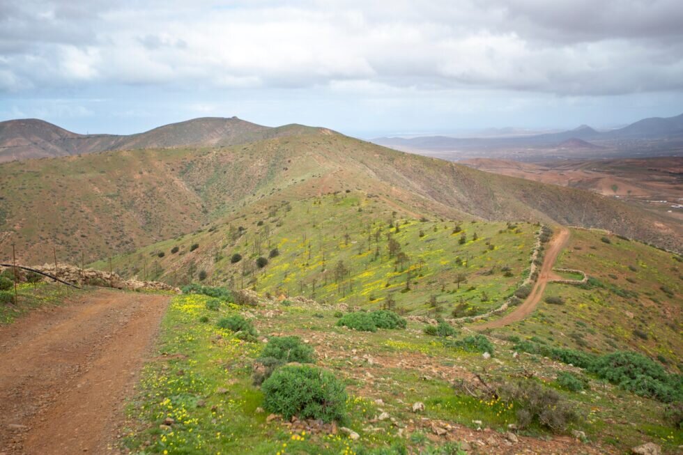 Senderos en el Parque Rural de Betancuria (Imagen de Turismo del Ayuntamiento de Betancuria).