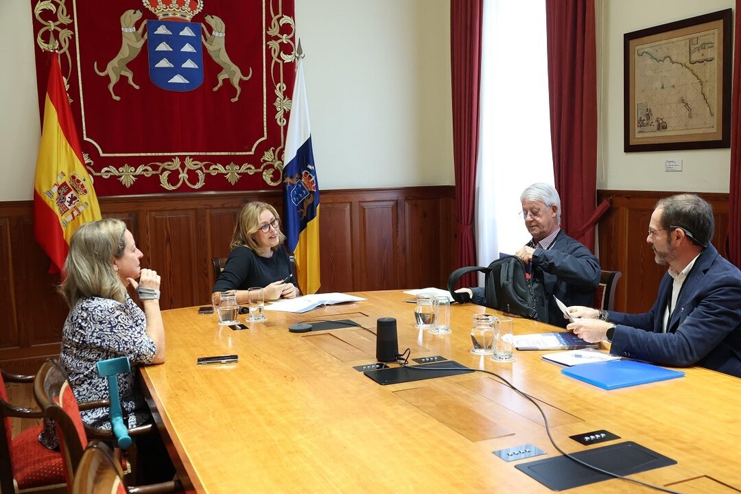 El Parlamento de Canarias recibe a la Federación de Asociaciones de Diabetes.