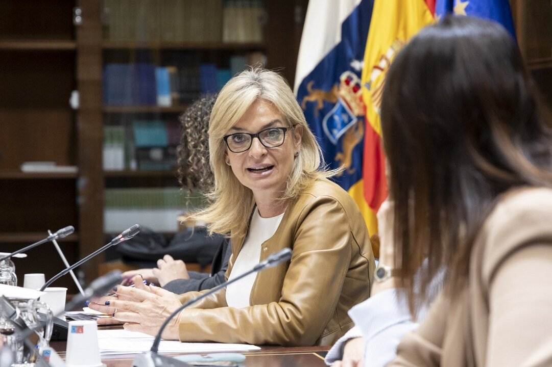 La consejera de Sanidad del Gobierno de Canarias, Esther Monzón.