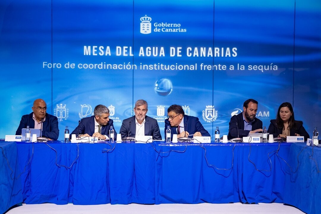 Mesa del Agua Gobierno de Canarias y Cabildos insulares (1)