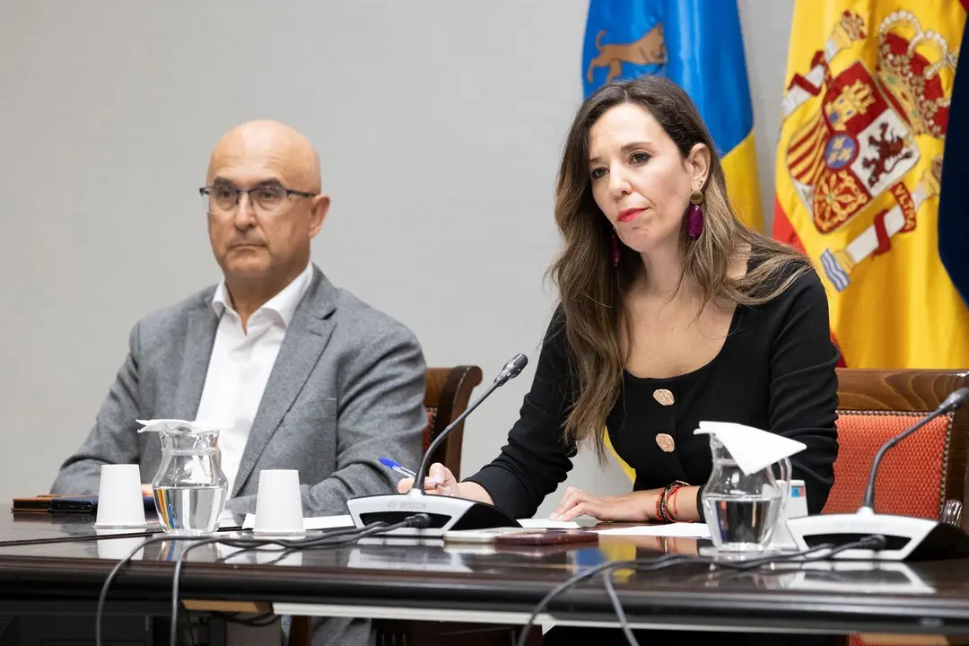 De León, en la Comisión de Cabildos en el Parlamento de Canarias.