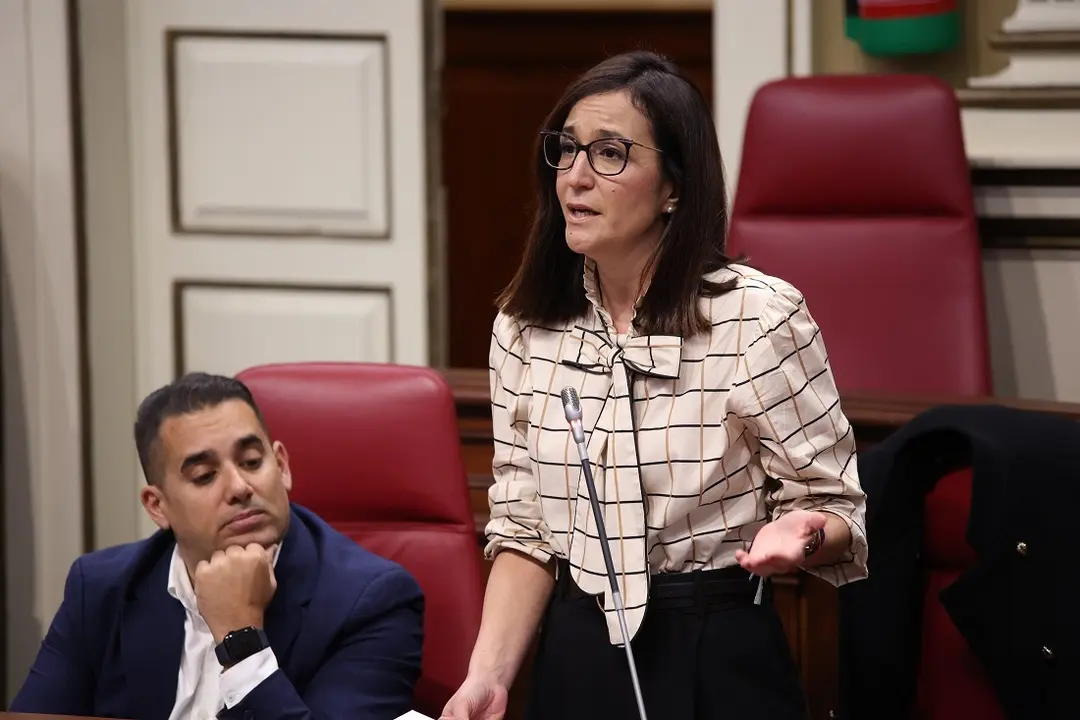 Natalia Santana (NC-BC) en el Parlamento, el 11 de febrero de 2025.