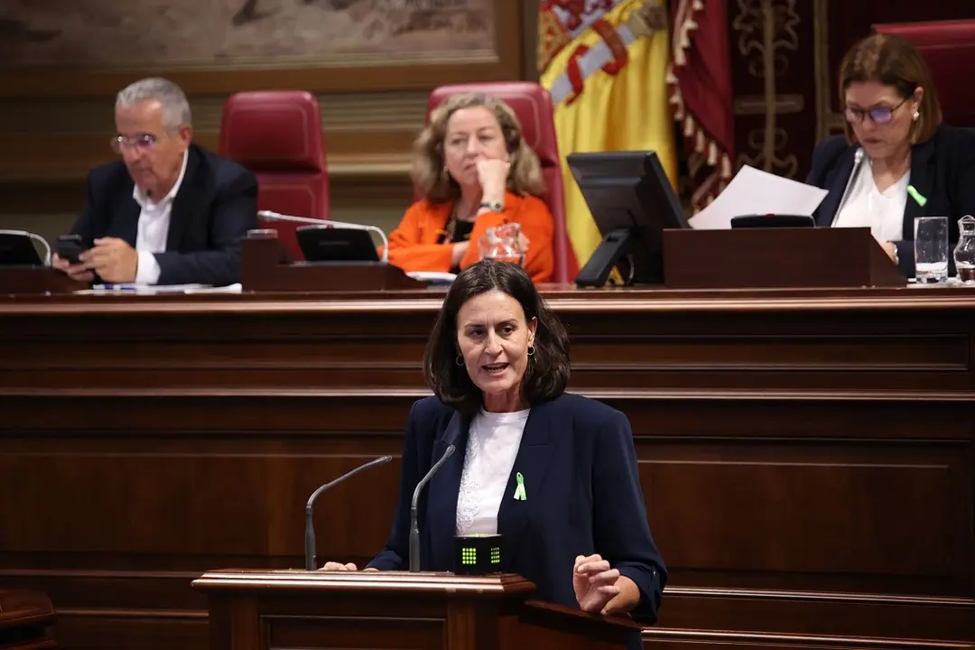 Natalia Évora, en el pleno del Parlamento de Canarias el 11 de febrero de 2025.