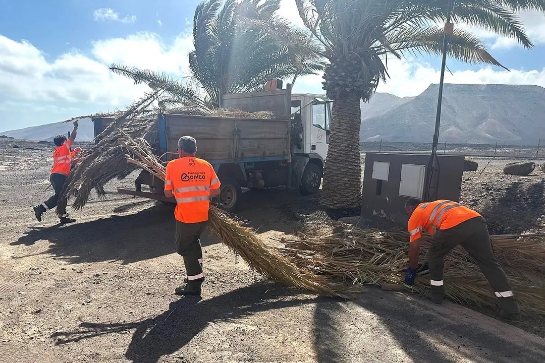 Trabajos de jardinería antes de Feaga 2025.