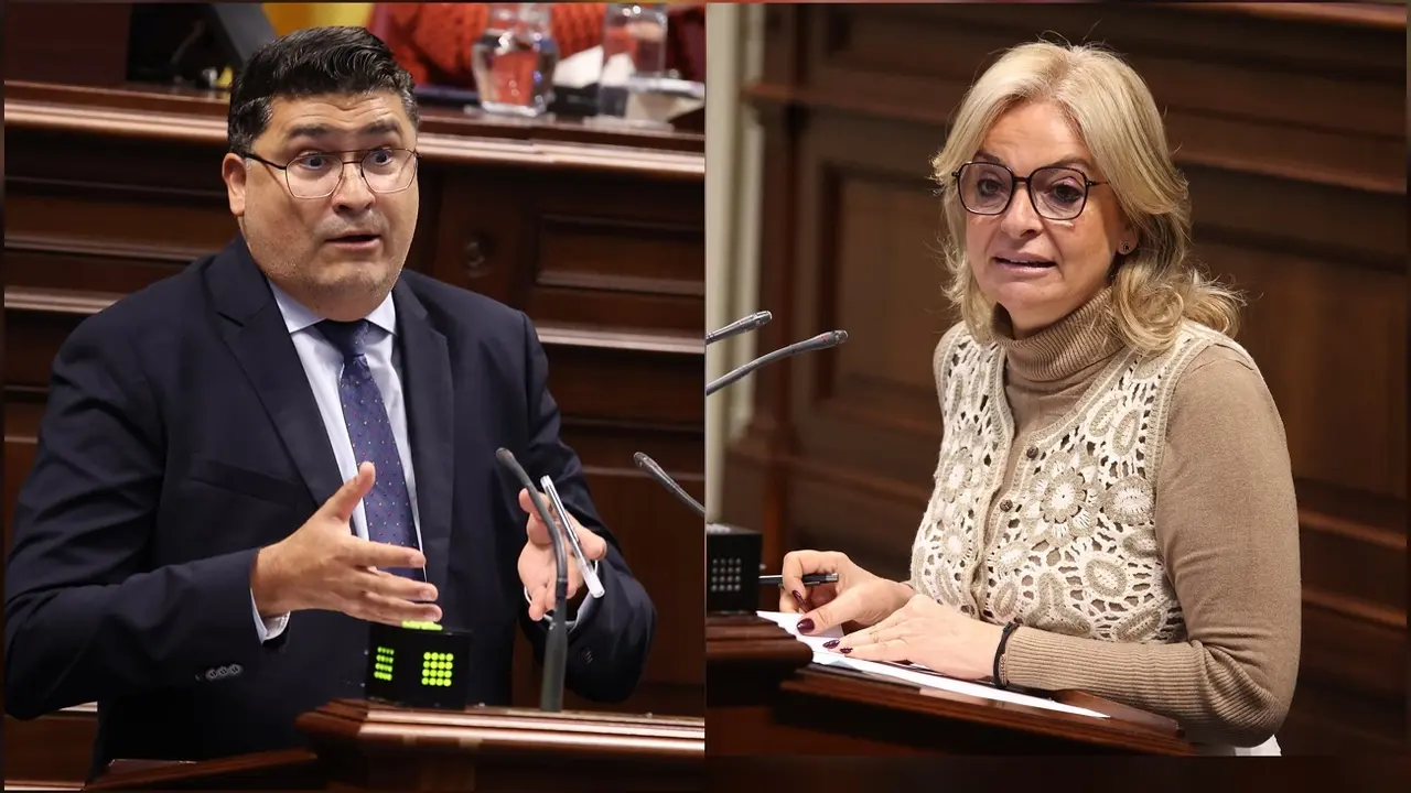 Miguel Ángel Pérez del Pino y Esther Monzón, en el Parlamento.