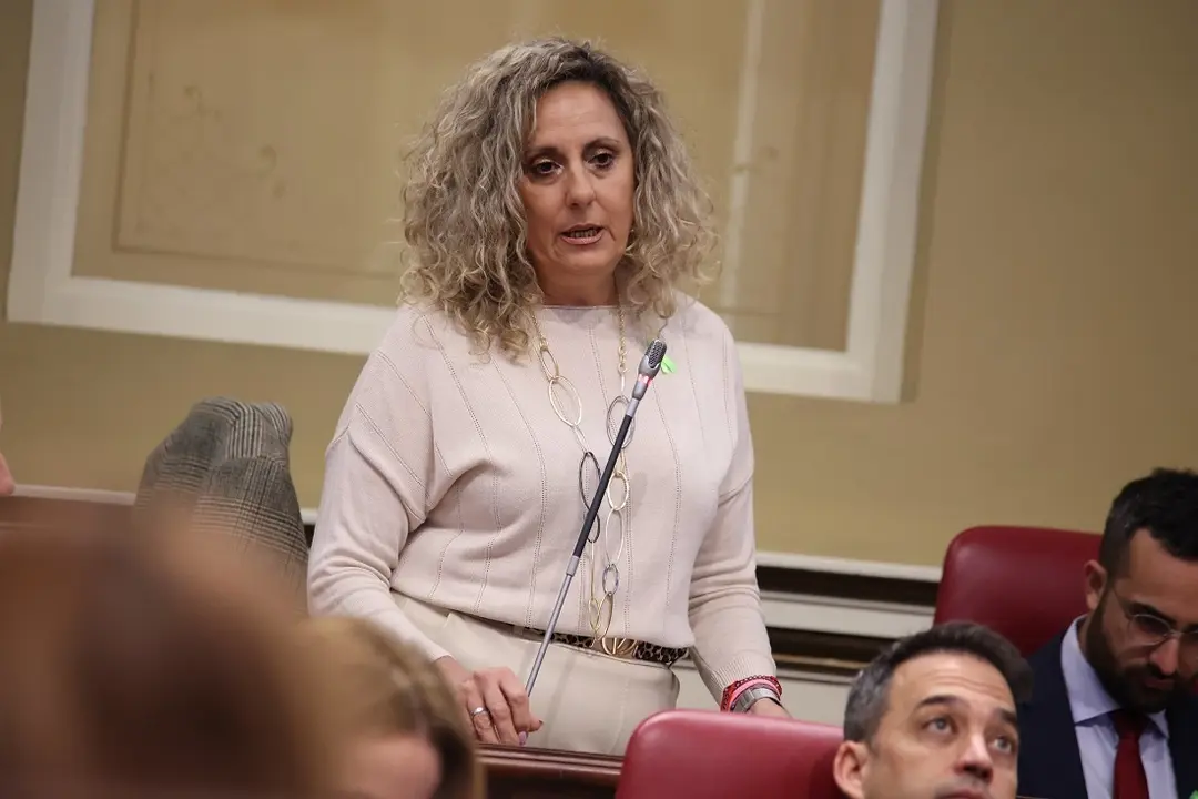 Marta Gómez, en el Parlamento.