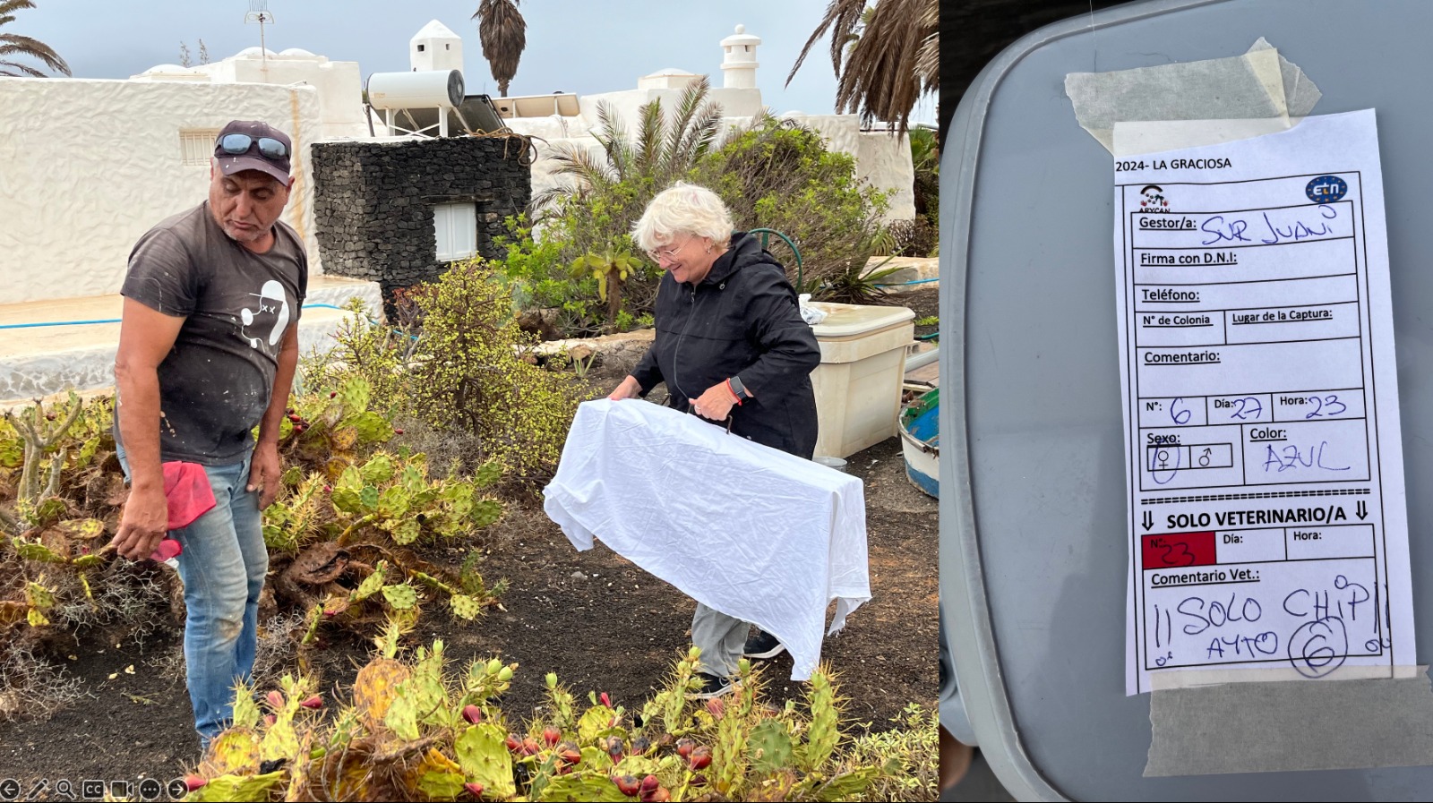 Voluntarios en La Graciosa, aplicando el método CER en julio de 2023.